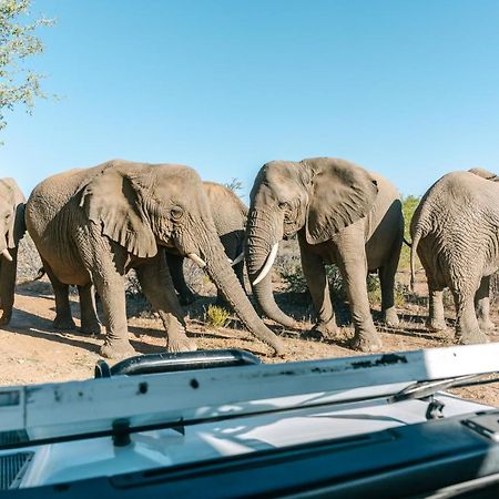 Omaruru Game Lodge Bagian luar foto