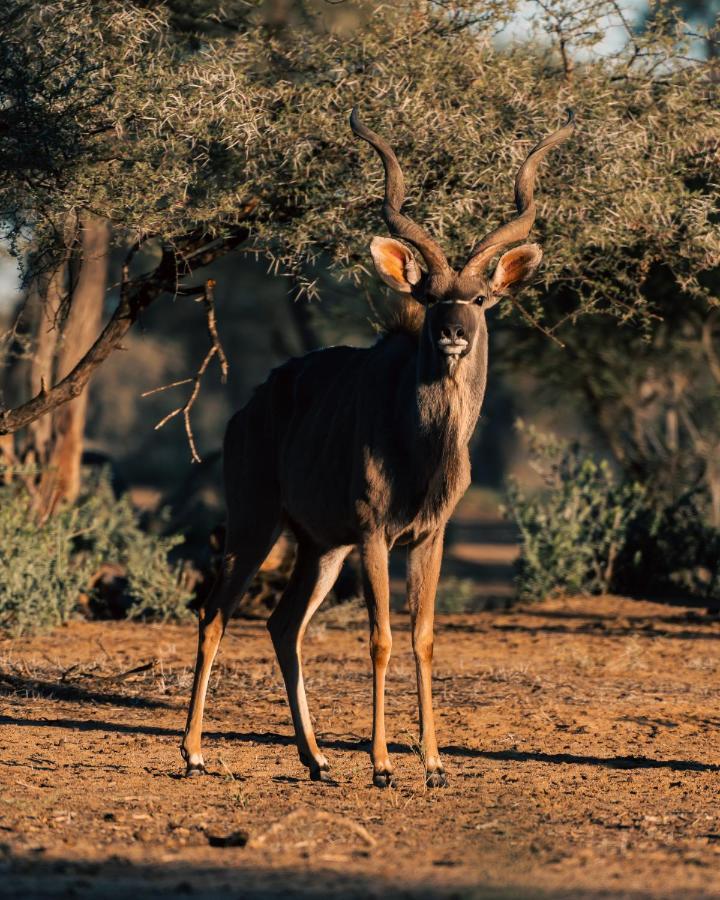 Omaruru Game Lodge Bagian luar foto