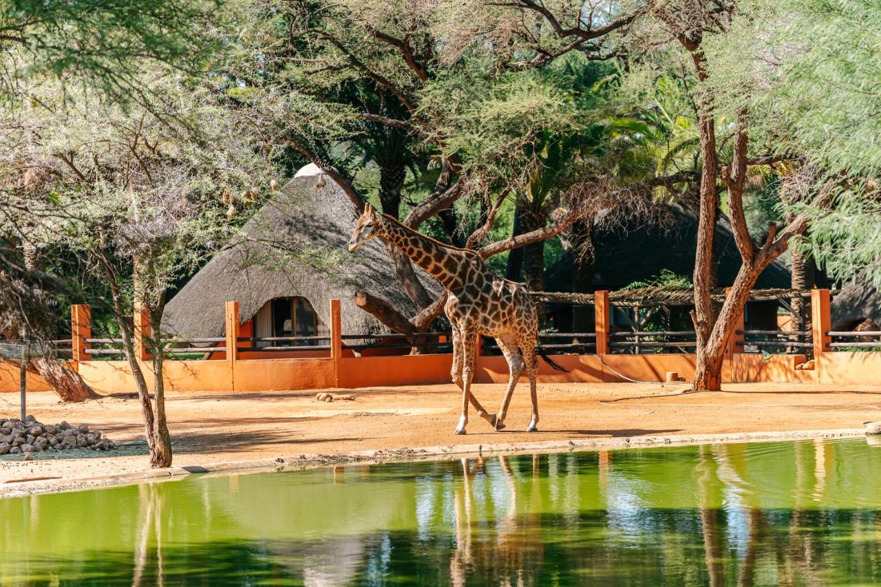 Omaruru Game Lodge Bagian luar foto