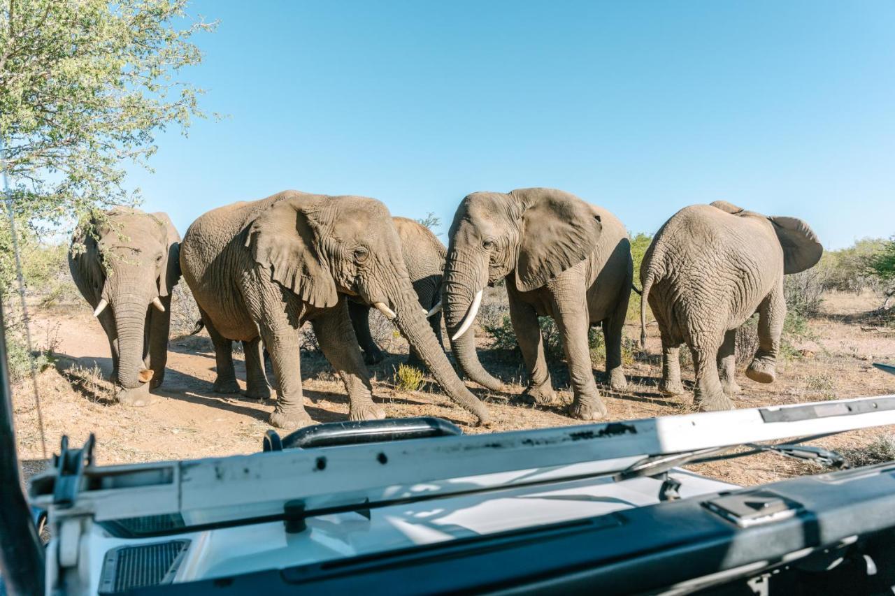 Omaruru Game Lodge Bagian luar foto