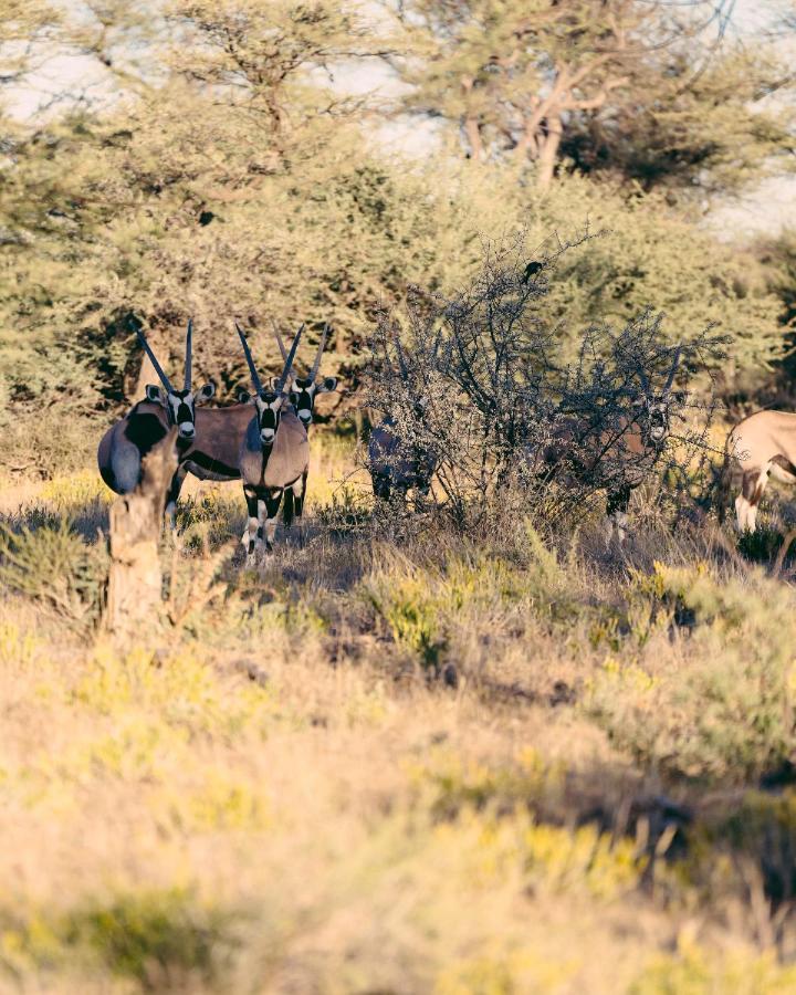 Omaruru Game Lodge Bagian luar foto