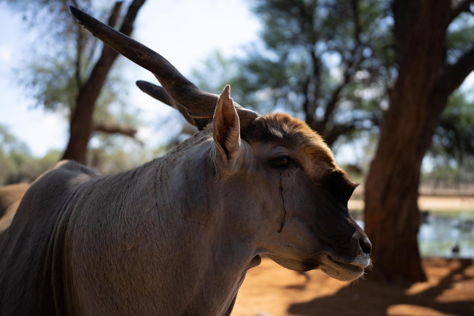 Omaruru Game Lodge Bagian luar foto