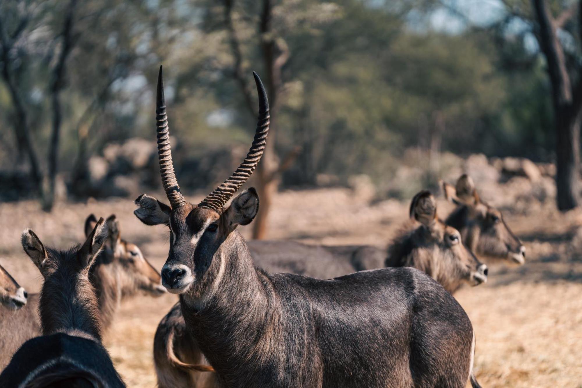 Omaruru Game Lodge Bagian luar foto