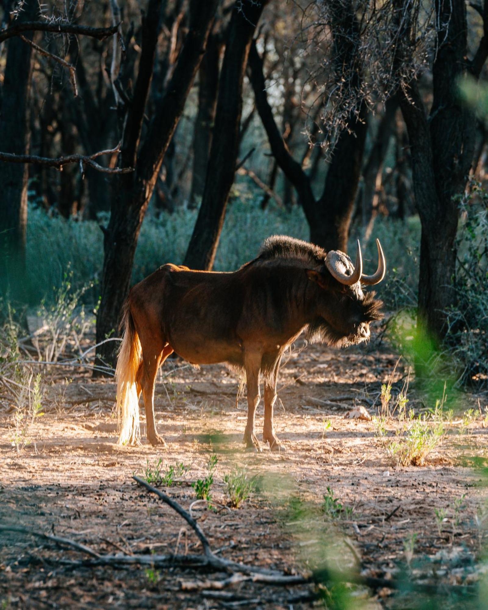 Omaruru Game Lodge Bagian luar foto